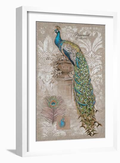 Peacock on Linen 2-Chad Barrett-Framed Art Print