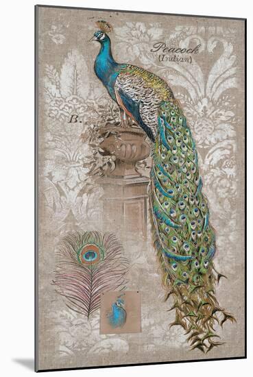 Peacock on Linen 2-Chad Barrett-Mounted Art Print