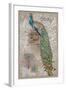 Peacock on Linen 2-Chad Barrett-Framed Art Print