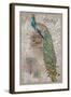Peacock on Linen 2-Chad Barrett-Framed Art Print