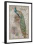 Peacock on Linen 2-Chad Barrett-Framed Art Print