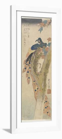 (Peacock on Maple Tree), Early 19th Century-Utagawa Hiroshige-Framed Premium Giclee Print