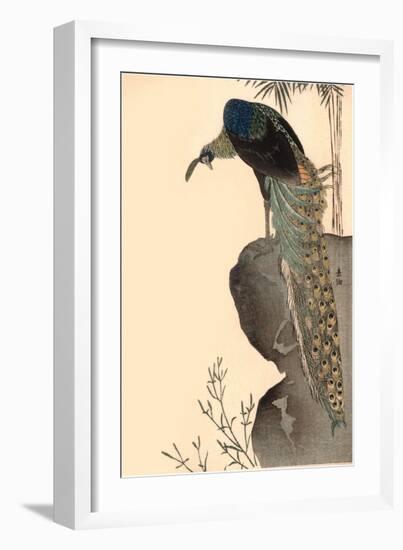 Peacock on Rock Outcropping-null-Framed Art Print