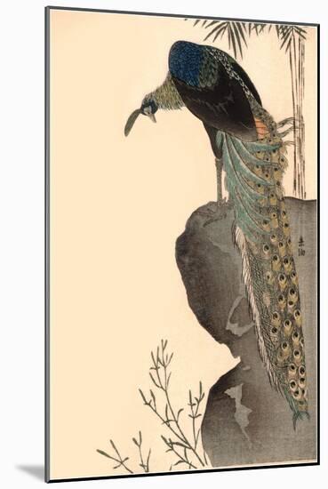 Peacock on Rock Outcropping-null-Mounted Art Print