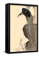 Peacock on Rock Outcropping-null-Framed Stretched Canvas