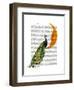 Peacock on the Moon-Fab Funky-Framed Art Print