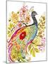 Peacock Ornate-Karen Fields-Mounted Giclee Print