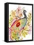 Peacock Ornate-Karen Fields-Framed Stretched Canvas