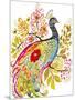 Peacock Ornate-Karen Fields-Mounted Giclee Print