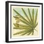 Peacock Palm V-Jennifer Goldberger-Framed Art Print