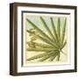 Peacock Palm V-Jennifer Goldberger-Framed Art Print