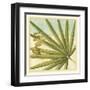 Peacock Palm V-Jennifer Goldberger-Framed Art Print