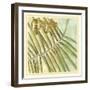 Peacock Palm VI-Jennifer Goldberger-Framed Art Print