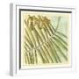 Peacock Palm VI-Jennifer Goldberger-Framed Art Print