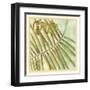 Peacock Palm VI-Jennifer Goldberger-Framed Art Print