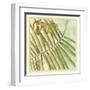 Peacock Palm VI-Jennifer Goldberger-Framed Art Print