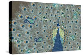 Peacock Paradise V-Veronique Charron-Stretched Canvas