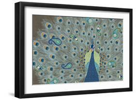 Peacock Paradise V-Veronique Charron-Framed Art Print