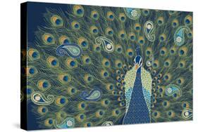 Peacock Paradise VI-Veronique Charron-Stretched Canvas