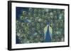 Peacock Paradise VI-Veronique Charron-Framed Art Print