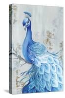 Peacock Paradise-Eva Watts-Stretched Canvas