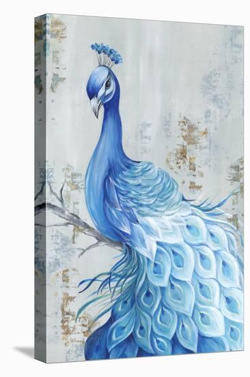 Peacock Paradise-Eva Watts-Stretched Canvas