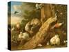 Peacock, Parakeet, Pelican, Crane and Poultry-Melchior de Hondecoeter-Stretched Canvas