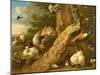 Peacock, Parakeet, Pelican, Crane and Poultry-Melchior de Hondecoeter-Mounted Giclee Print