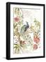 Peacock Perch-Stefan Jans-Framed Giclee Print