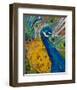 Peacock Plumage-null-Framed Art Print