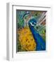 Peacock Plumage-null-Framed Art Print