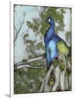 Peacock Reflections I-Jennifer Goldberger-Framed Art Print