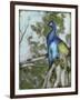 Peacock Reflections I-Jennifer Goldberger-Framed Art Print