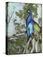 Peacock Reflections I-Jennifer Goldberger-Stretched Canvas