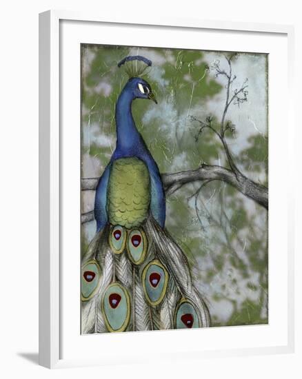 Peacock Reflections II-Jennifer Goldberger-Framed Art Print