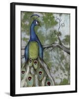 Peacock Reflections II-Jennifer Goldberger-Framed Art Print