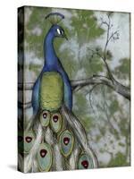 Peacock Reflections II-Jennifer Goldberger-Stretched Canvas