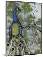 Peacock Reflections II-Jennifer Goldberger-Mounted Art Print