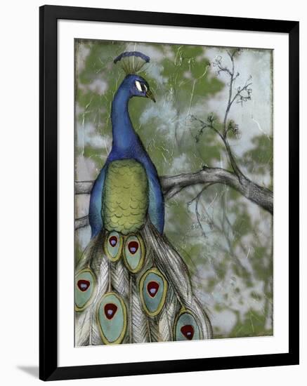 Peacock Reflections II-Jennifer Goldberger-Framed Art Print