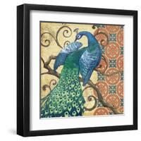 Peacock's Splendor II-Paul Brent-Framed Art Print