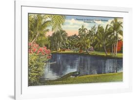 Peacock, Sarasota, Florida-null-Framed Premium Giclee Print