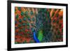 Peacock Showing Feathers on the Bright Red Background-Dudarev Mikhail-Framed Photographic Print