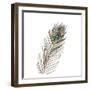 Peacock Single 1-Boho Hue Studio-Framed Art Print