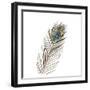 Peacock Single 1-Boho Hue Studio-Framed Art Print