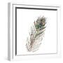 Peacock Single 1-Boho Hue Studio-Framed Art Print