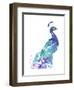 Peacock Splash I-Jennifer Goldberger-Framed Art Print