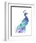 Peacock Splash I-Jennifer Goldberger-Framed Art Print