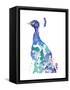 Peacock Splash II-Jennifer Goldberger-Framed Stretched Canvas