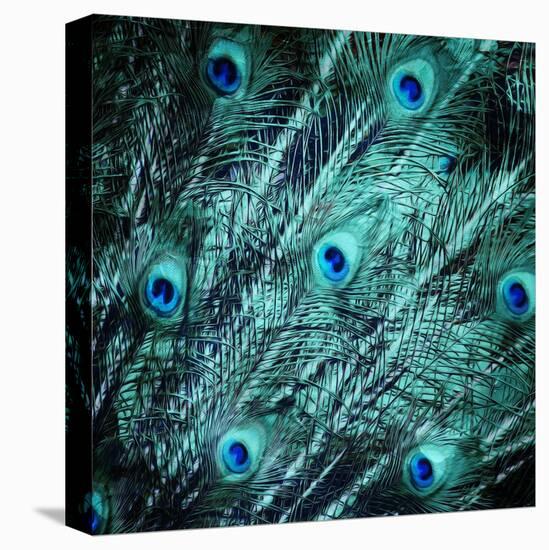 Peacock Spread-Milli Villa-Stretched Canvas