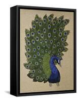 Peacock Stitched-Kestrel Michaud-Framed Stretched Canvas